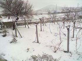 Altınekin Koçyaka Köyü Resimleri 3