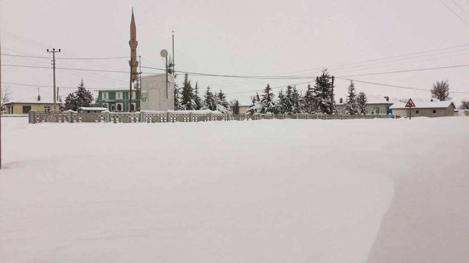 Altınekin Ölmez Köyü Resimleri 1