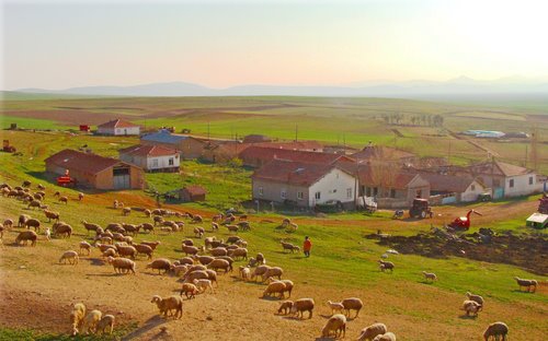 Altınekin Sarnıçköy Köyü Resimleri 1