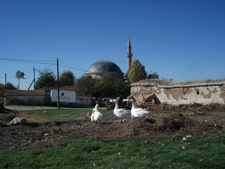 Altınekin Sarnıçköy Köyü Resimleri 9