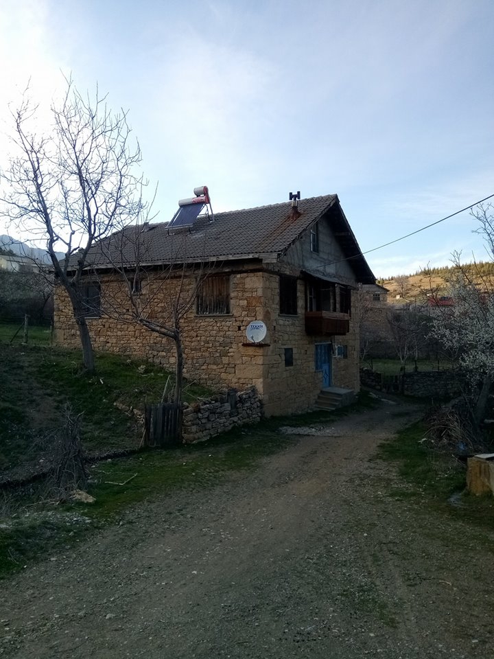 Altınekin Yenice Köyü Resimleri 5