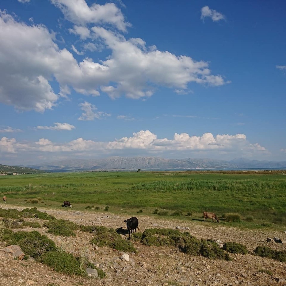 Altınekin Yenice Köyü Resimleri 7