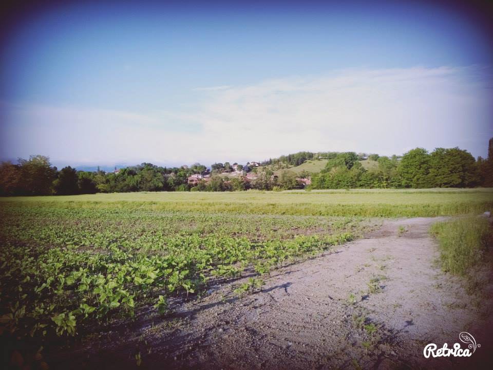 Havza Başpelit Köyü Resimleri 4