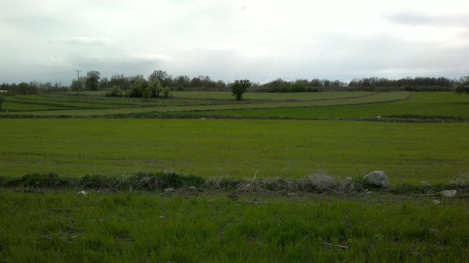 Havza Başpelit Köyü Resimleri 7