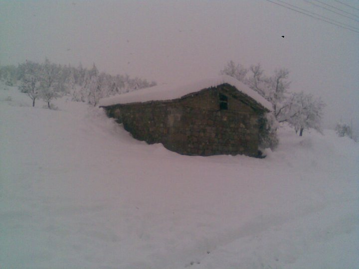 Havza Başpelit Köyü Resimleri 9