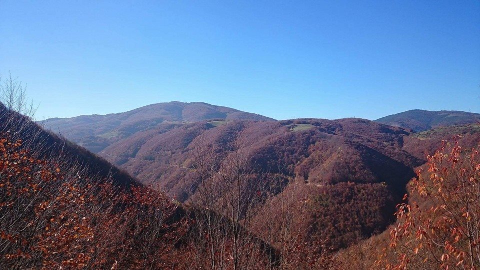 Havza Beyören Köyü Resimleri 7