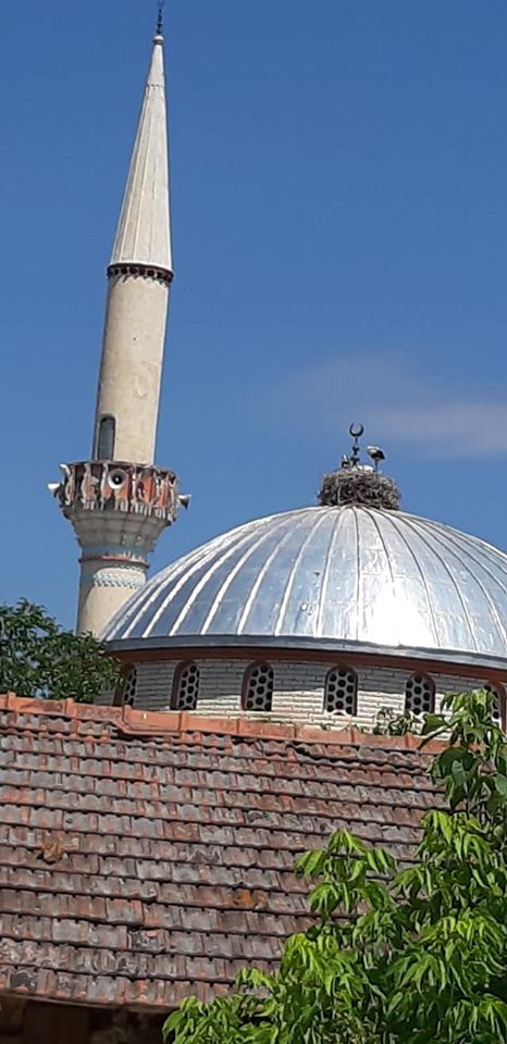 Havza Celil Köyü Resimleri 3