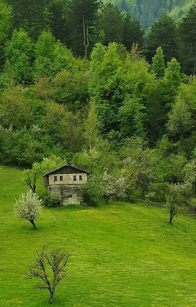 Havza Cevizlik Köyü Resimleri 10