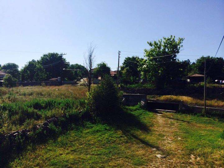 Havza Cevizlik Köyü Resimleri 2