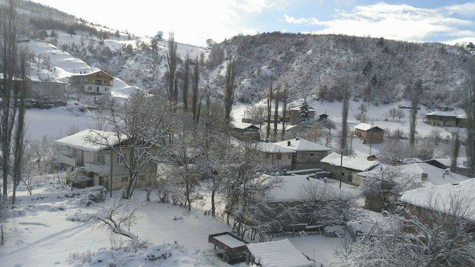 Havza Çamyatağı Köyü Resimleri 3