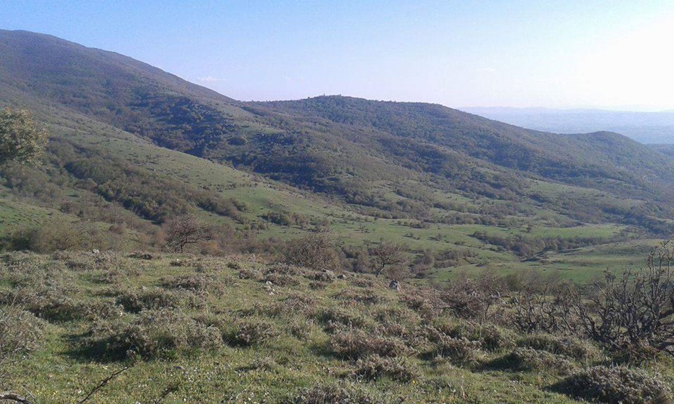 Havza Çamyatağı Köyü Resimleri 5