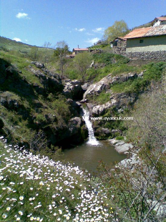 Havza Çayırözü Köyü Resimleri 1