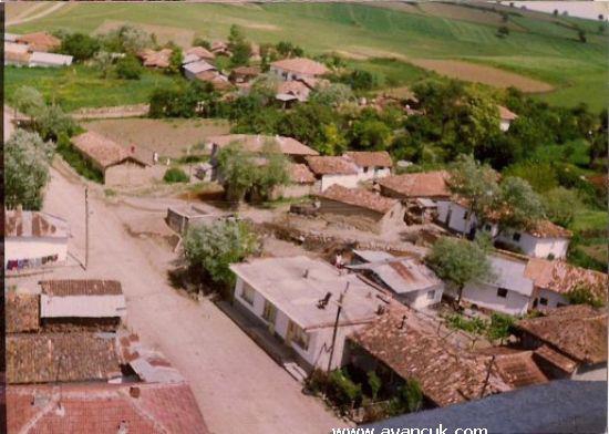 Havza Çayırözü Köyü Resimleri 10