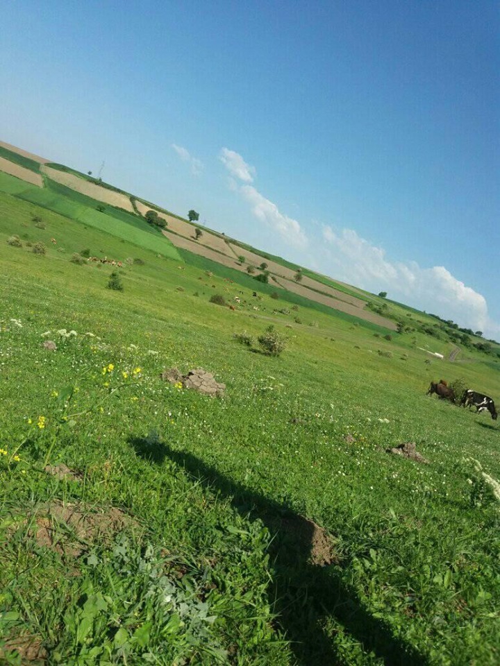 Havza Çayırözü Köyü Resimleri 2