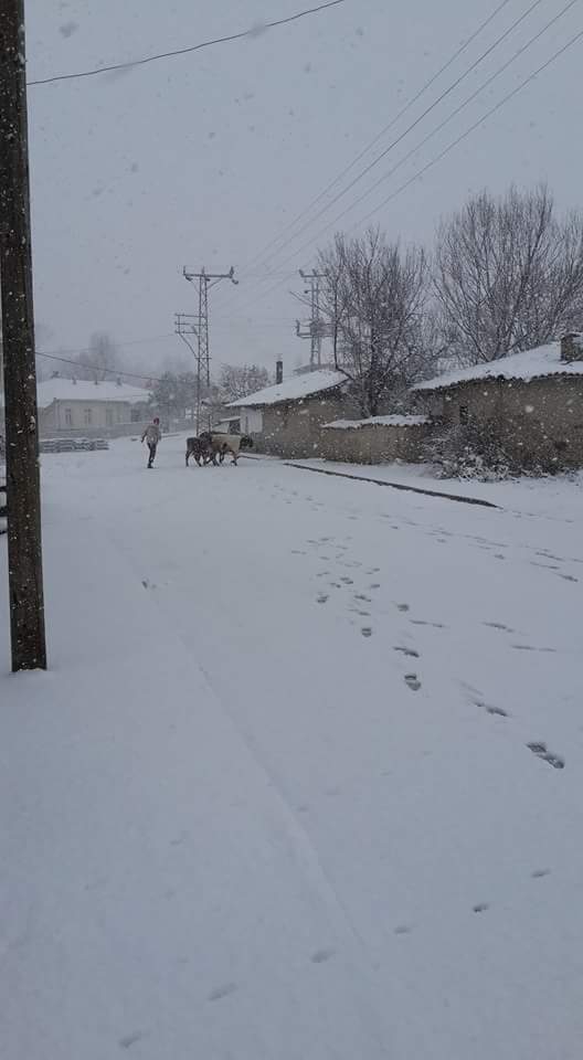 Havza Çayırözü Köyü Resimleri 3