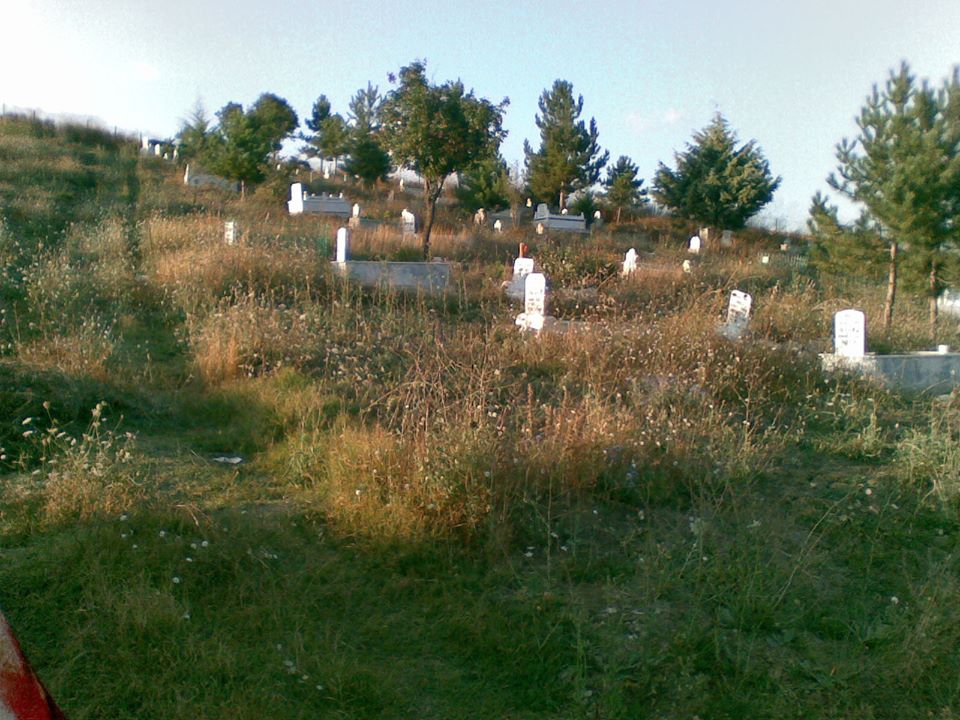 Havza Çayırözü Köyü Resimleri 9