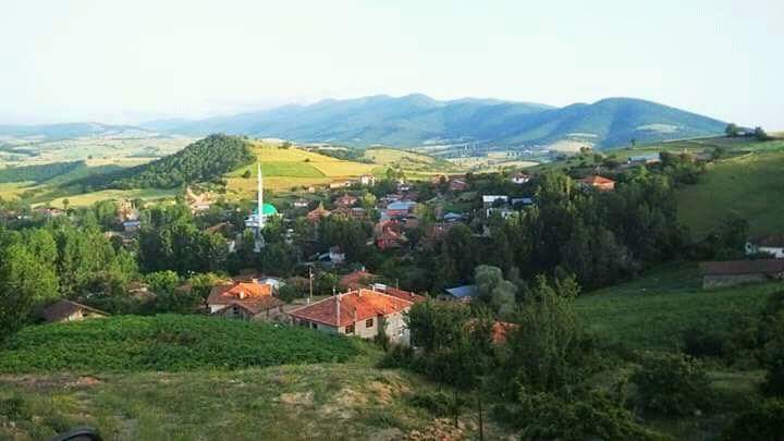 Havza Çelikalan Köyü Resimleri 6