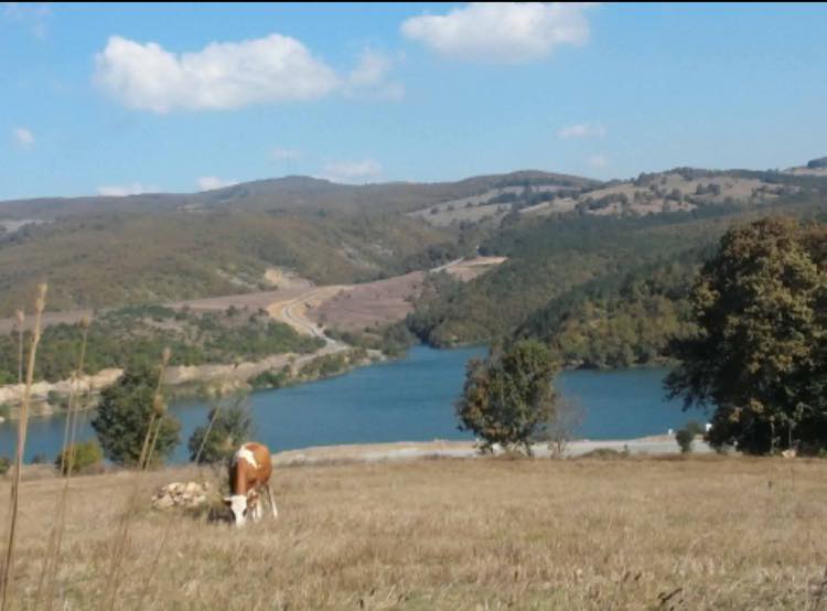 Havza Çelikalan Köyü Resimleri 7