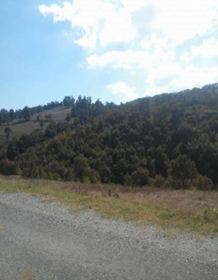 Havza Çelikalan Köyü Resimleri 9