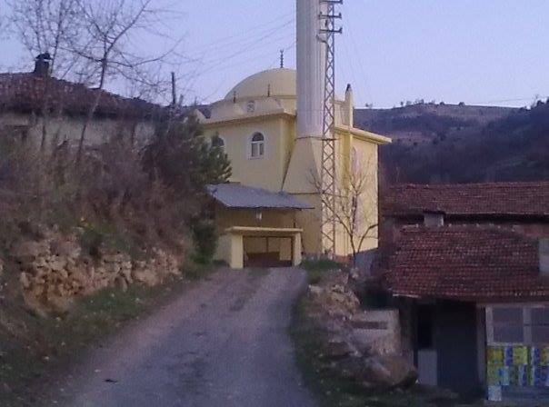 Havza Çeltek Köyü Resimleri 1