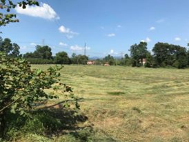 Hendek Aşağıçalıca Köyü Resimleri 2