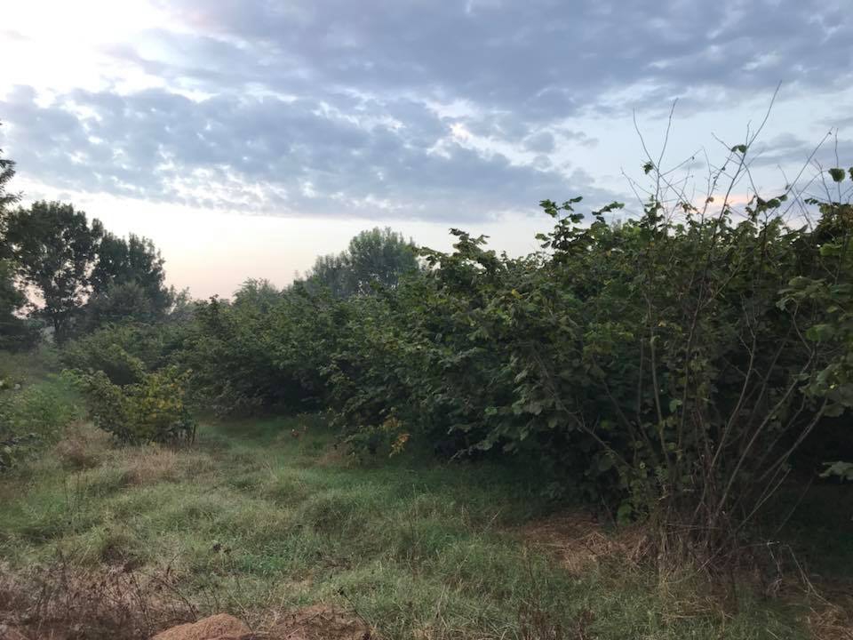 Hendek Aşağıçalıca Köyü Resimleri 4