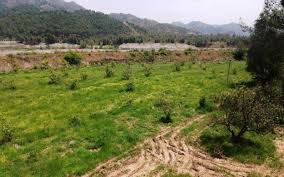 Ortaca Çaylı Köyü Resimleri 11