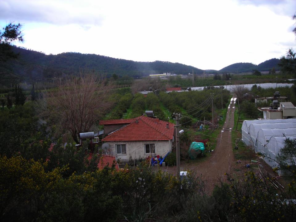 Ortaca Çaylı Köyü Resimleri 2