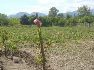 Ortaca Fevziye Köyü Resimleri 3