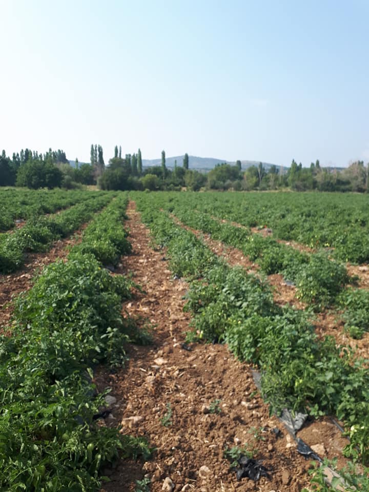 Beyşehir Avdancık Köyü Resimleri 9