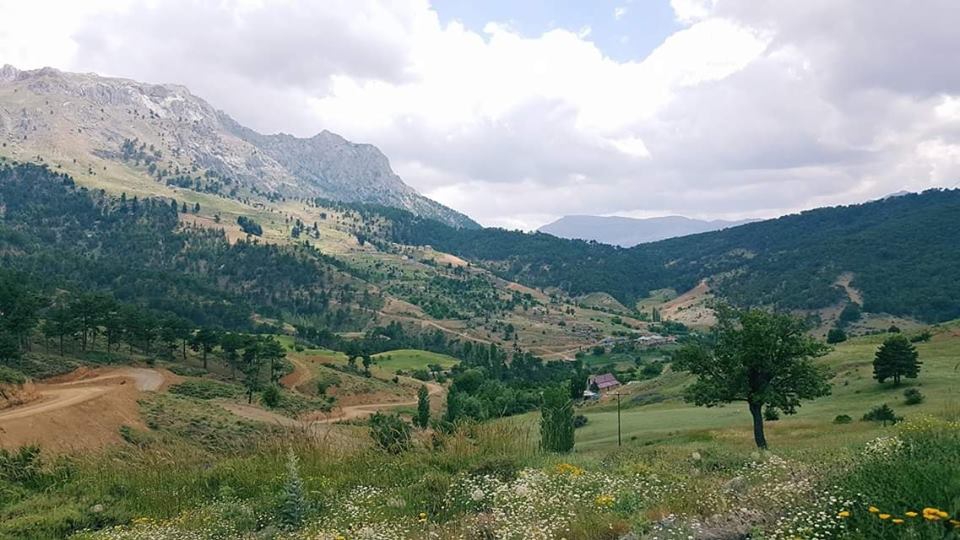 Beyşehir Avşar Köyü Resimleri 1