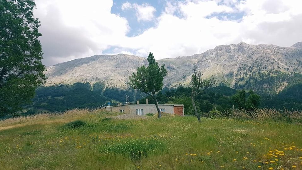 Beyşehir Avşar Köyü Resimleri 2