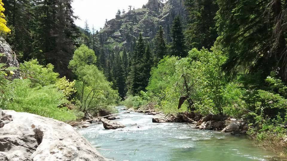 Beyşehir Avşar Köyü Resimleri 5