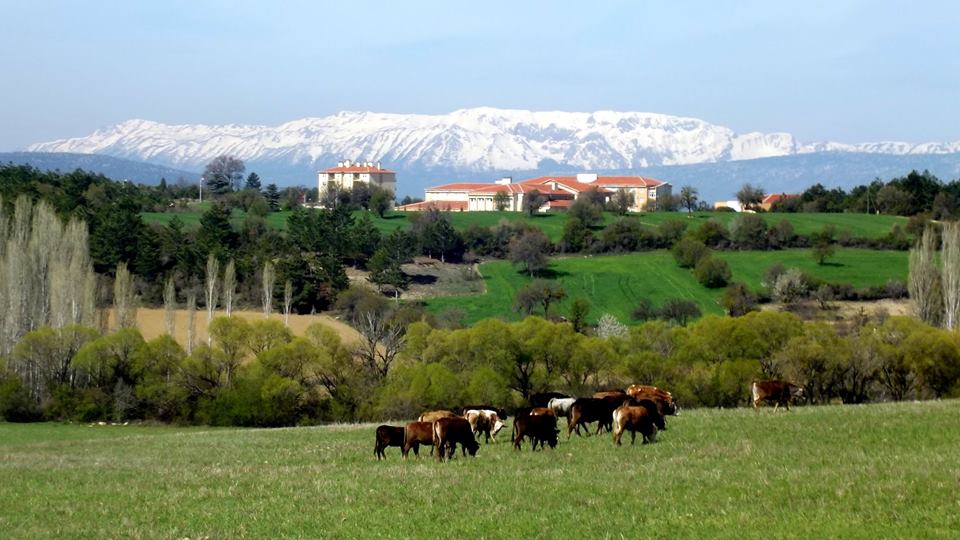 Beyşehir Bademli Köyü Resimleri 3
