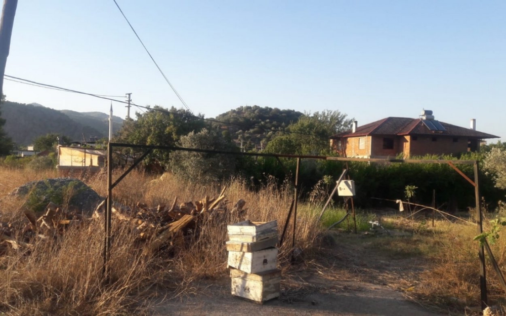 Ortaca Mergenli Köyü Resimleri 7