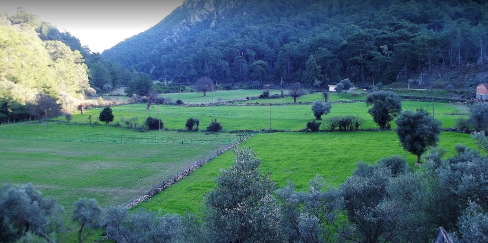 Ortaca Mergenli Köyü Resimleri 8