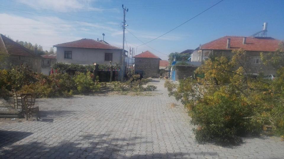 Beyşehir Bayat Köyü Resimleri 1