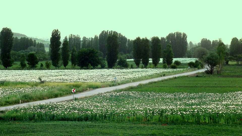 Beyşehir Bayat Köyü Resimleri 3