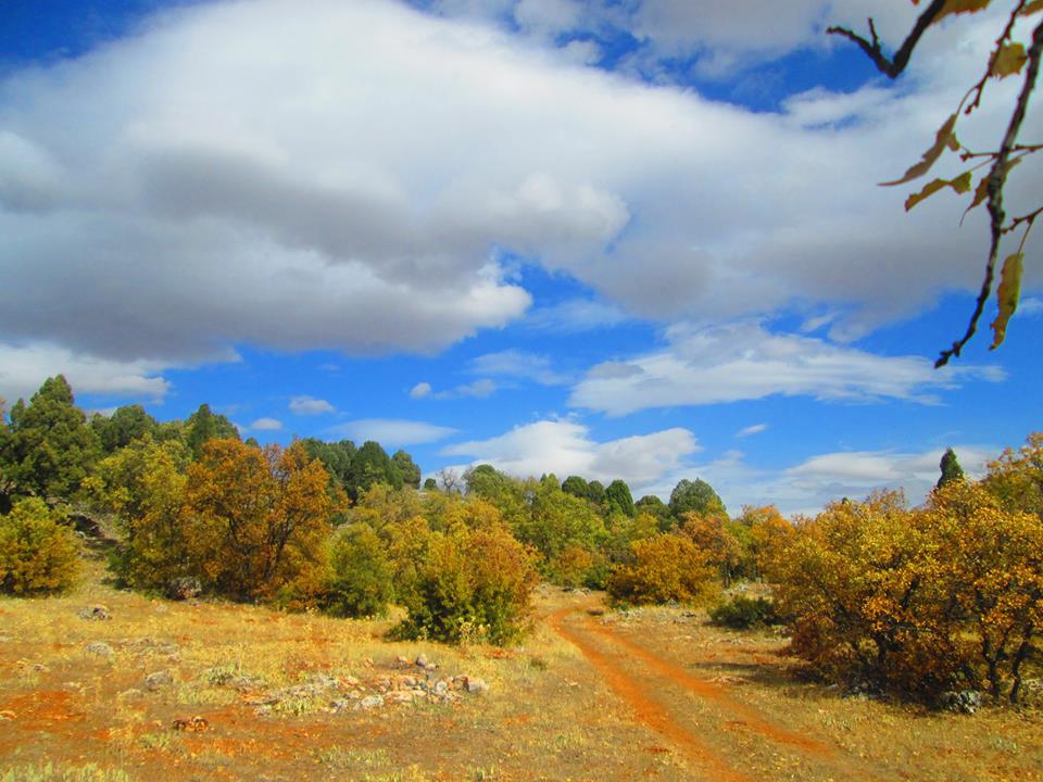 Beyşehir Bayavşar Köyü Resimleri 3