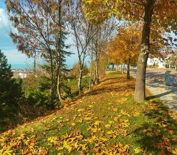 Beyşehir Beytepe Köyü Resimleri 7