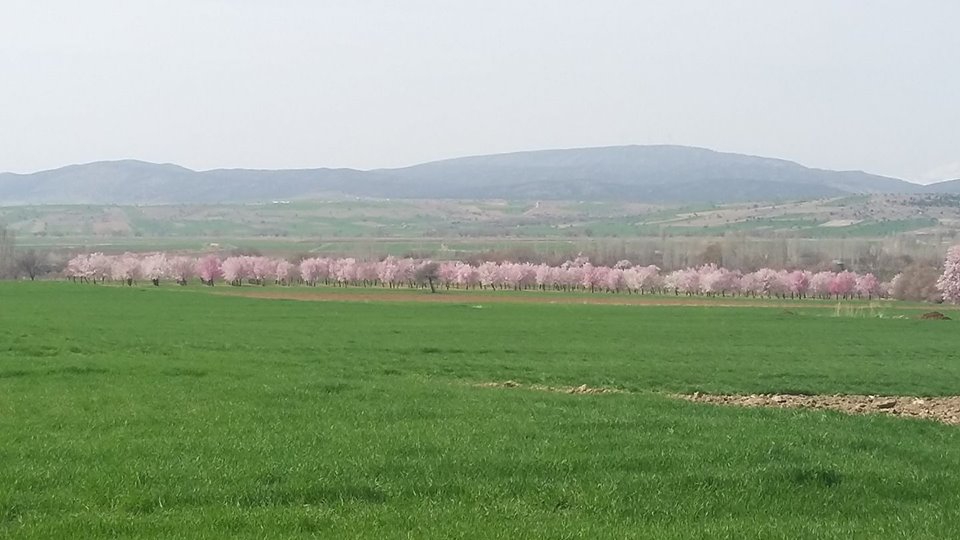 Beyşehir Çiçekler Köyü Resimleri 4