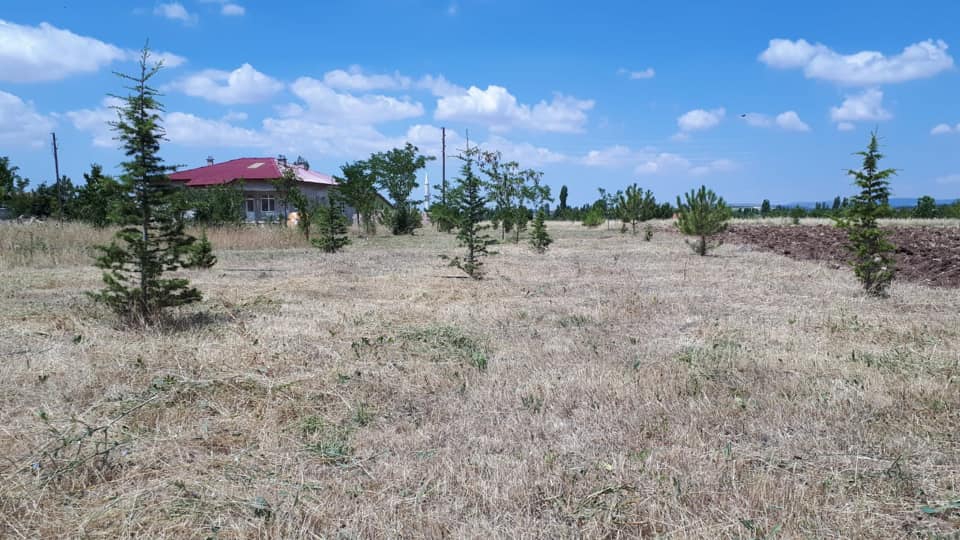 Beyşehir Çukurağıl Köyü Resimleri 3