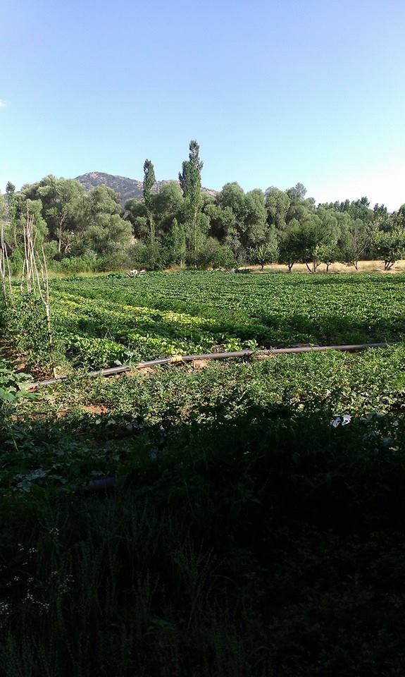 Beyşehir Çukurağıl Köyü Resimleri 4