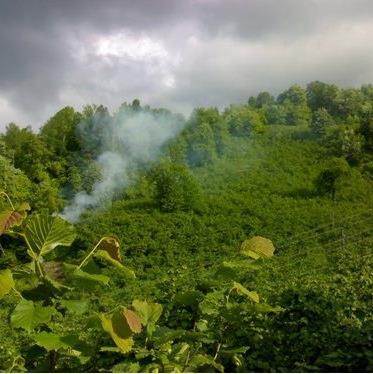 Hendek Bakacak Köyü Resimleri 1