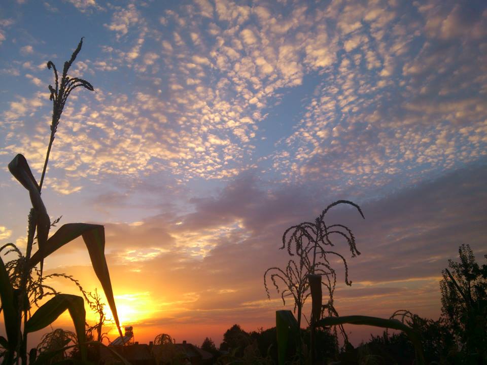 Hendek Bakacak Köyü Resimleri 2