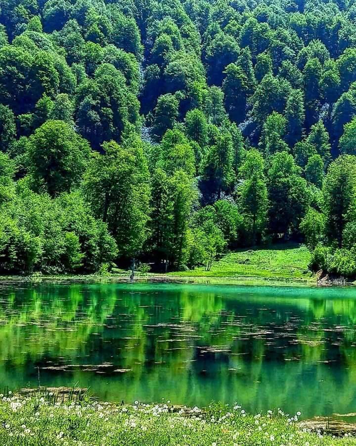 Hendek Bakacak Köyü Resimleri 3