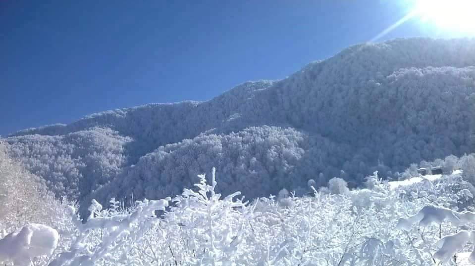 Hendek Bakacak Köyü Resimleri 4