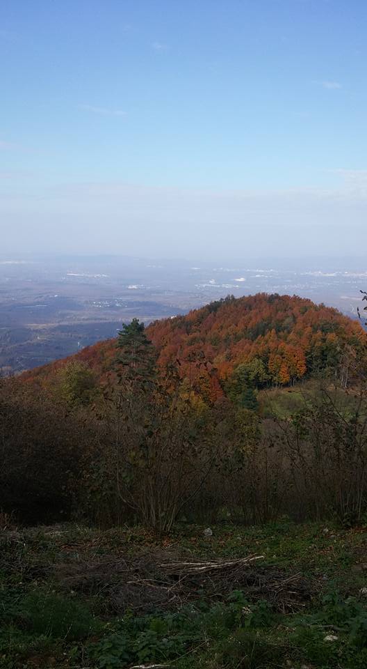 Hendek Bakacak Köyü Resimleri 6