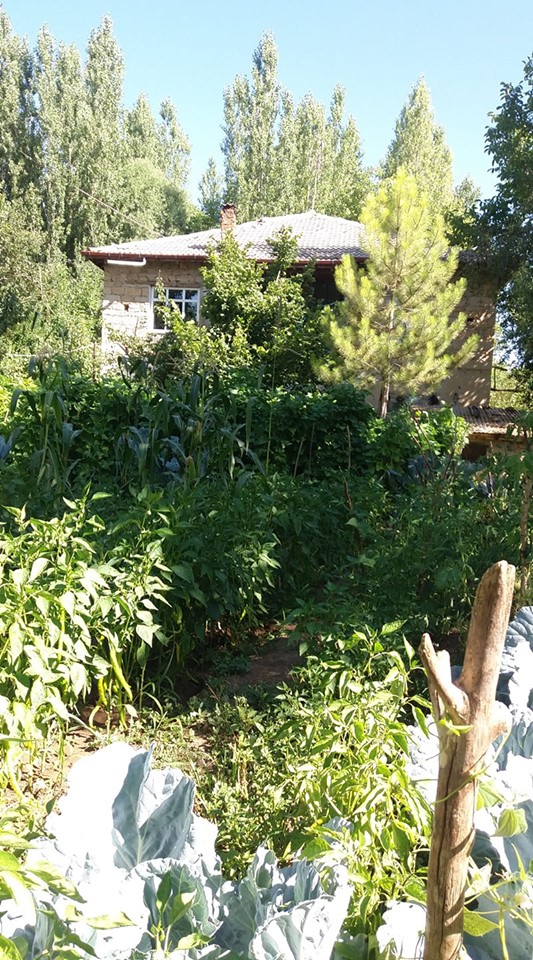 Beyşehir Gökçimen Köyü Resimleri 2