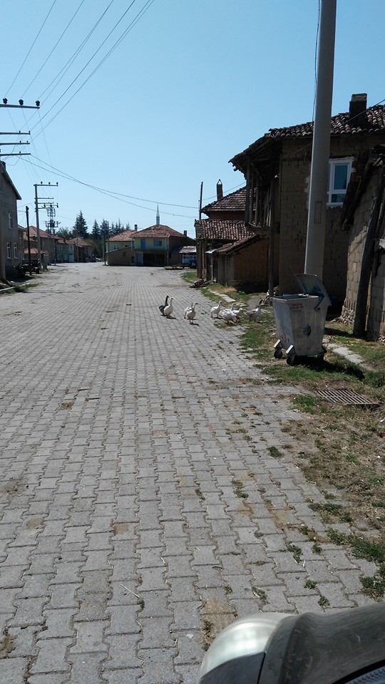 Beyşehir Gölyaka Köyü Resimleri 7